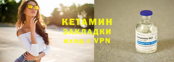 прущие грибы Вязьма
