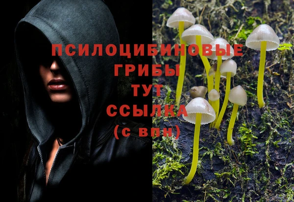 кокс Володарск