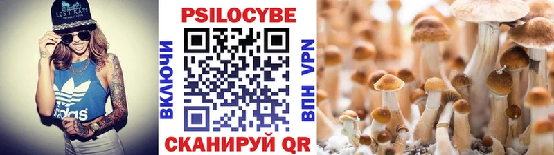 Галлюциногенные грибы Psilocybine cubensis Купить закладки Володарск